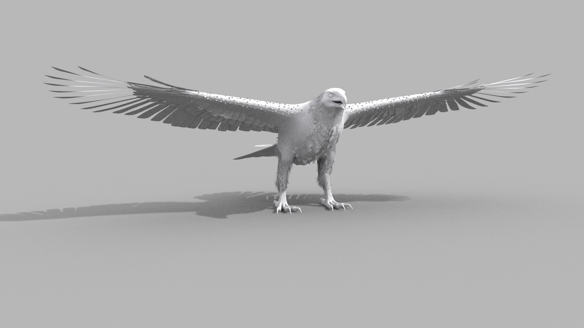 Eagle Aguia Shape 3D model https://p.turbosquid.com/ts-thumb/AG/V3oLHx/jX/2/jpg/1750433417/1920x1080/fit_q87/7c5df108639757668d899e5c1b34979629636b43/2.jpg