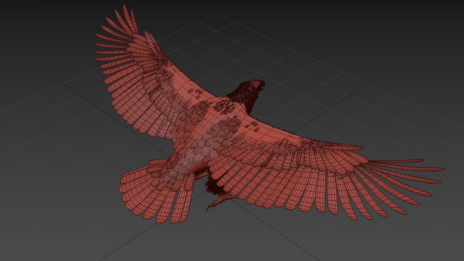 Eagle Aguia Shape 3D model https://p.turbosquid.com/ts-thumb/AG/V3oLHx/l5/8/jpg/1750433420/1920x1080/fit_q87/49e720c3bff3d878f8701edcdf79e9d8d7a95e7c/8.jpg
