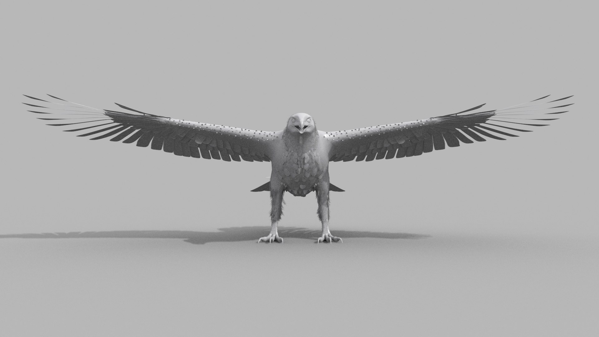 Eagle Aguia Shape 3D model https://p.turbosquid.com/ts-thumb/AG/V3oLHx/wJ/5/jpg/1750433418/1920x1080/fit_q87/21d9a1cc989a422e6d8ec3ae152bb240e787f63f/5.jpg