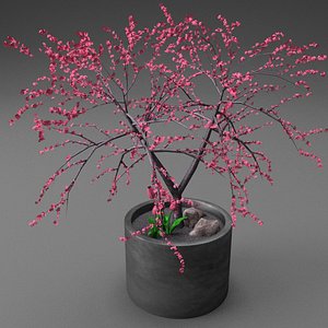 3d model cherry blossom tree planter