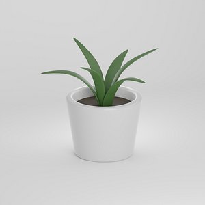 3D Potted Plant model