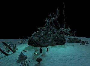 maya wreck