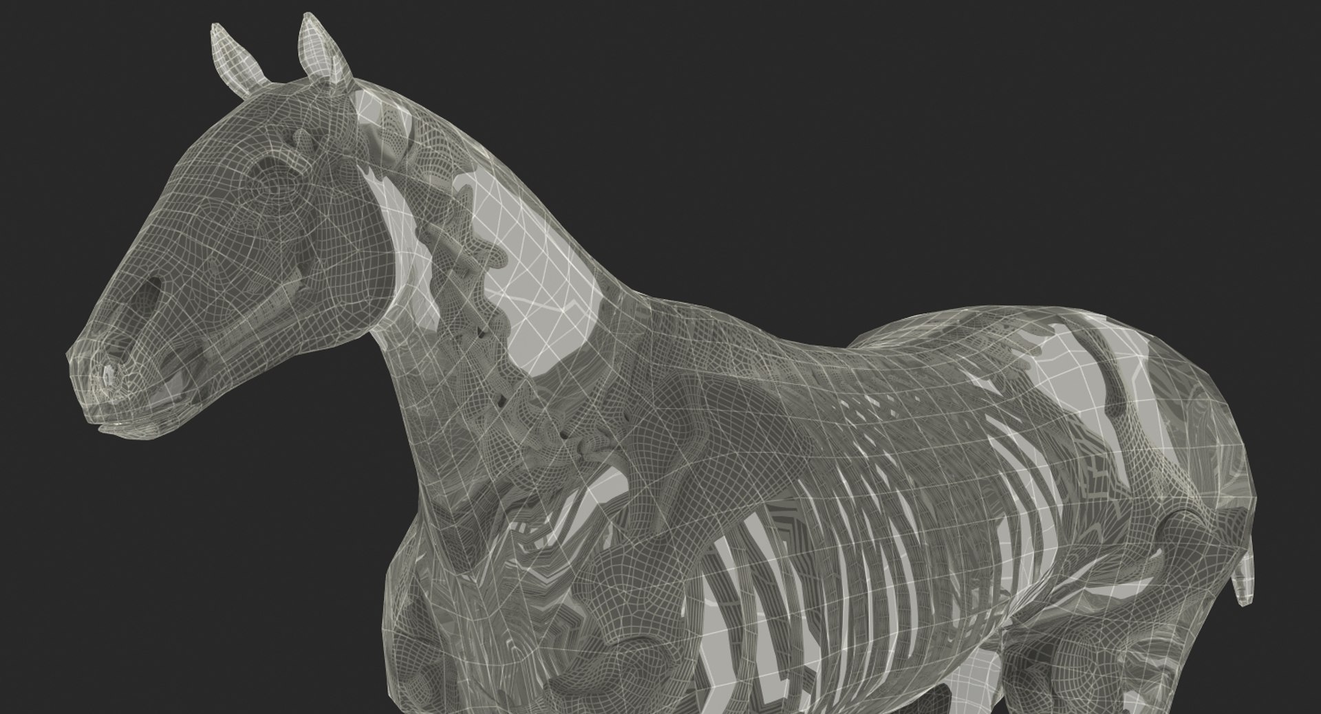 horse skeleton 3D model https://p.turbosquid.com/ts-thumb/AG/p756e6/69tDk9cg/horseandskeletoncollectionmb3dmodel018/jpg/1549258931/1920x1080/fit_q87/079c79a29cab905525f783dc70702513f1ce06dd/horseandskeletoncollectionmb3dmodel018.jpg