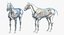 Horse and Skeleton 3D Models Collection