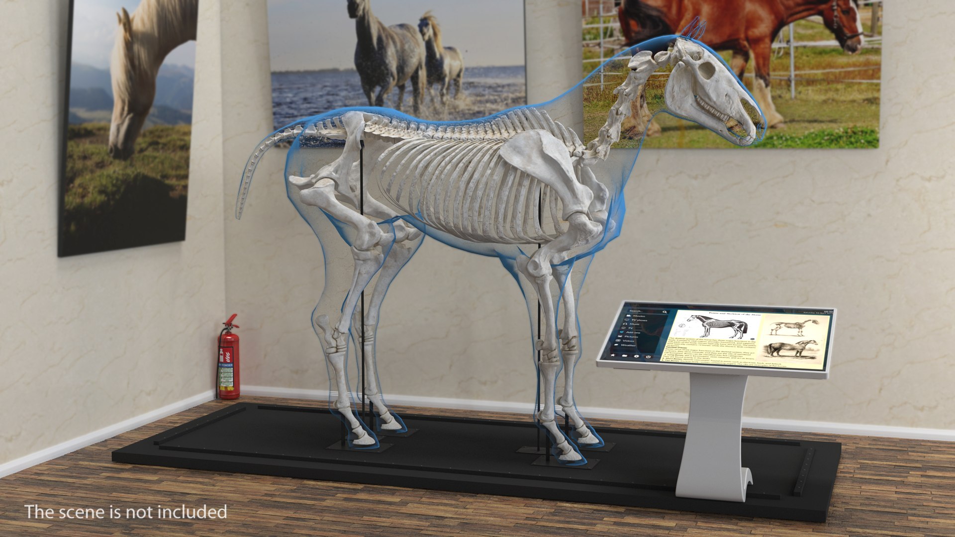 horse skeleton 3D model https://p.turbosquid.com/ts-thumb/AG/p756e6/F4fO6Wkc/horseandskeletoncollectionmb3dmodel003/jpg/1549258931/1920x1080/fit_q87/c357cf1e7d6843cdfae8891639ae5432c82b5af2/horseandskeletoncollectionmb3dmodel003.jpg