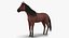 Horse and Skeleton 3D Models Collection