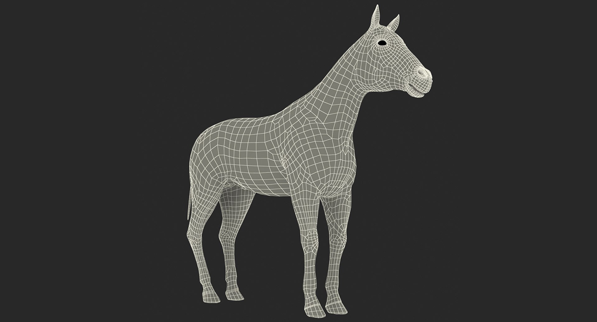 horse skeleton 3D model https://p.turbosquid.com/ts-thumb/AG/p756e6/yHsuif31/horseandskeletoncollectionmb3dmodel020/jpg/1549258932/1920x1080/fit_q87/412b9593a32abb9bc0300043a0a596e0c37940cf/horseandskeletoncollectionmb3dmodel020.jpg
