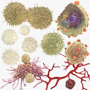 3D cancer cells lymphocytes