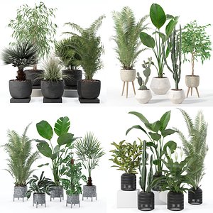 20 Photorealistic Flowers for Interiors - set 119 135 130 134