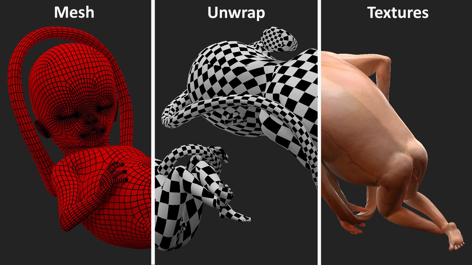3D second trimester human fetus https://p.turbosquid.com/ts-thumb/AH/IMGkdr/8IzNap3y/secondtrimesterhumanfetus16weeksvray3dmodel016/jpg/1606913484/1920x1080/fit_q87/9387aa7e1d561067e3acf3830f99633153f510aa/secondtrimesterhumanfetus16weeksvray3dmodel016.jpg