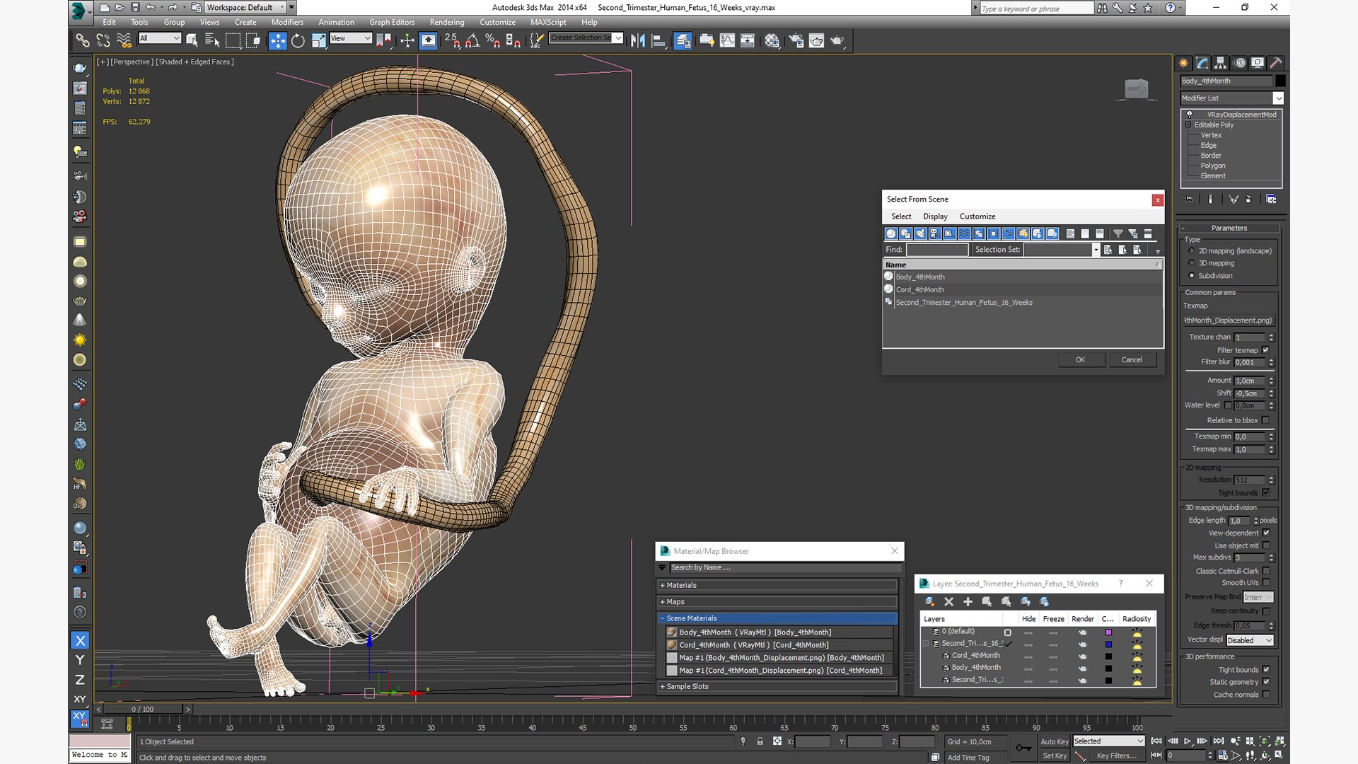3D second trimester human fetus https://p.turbosquid.com/ts-thumb/AH/IMGkdr/K9jBHZNC/secondtrimesterhumanfetus16weeksvray3dmodel019/jpg/1606913525/1920x1080/fit_q87/f10572c2918bbb9fbe01d6ac1a750316c35c2043/secondtrimesterhumanfetus16weeksvray3dmodel019.jpg