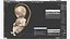 Second Trimester Human Fetus 16 Weeks
