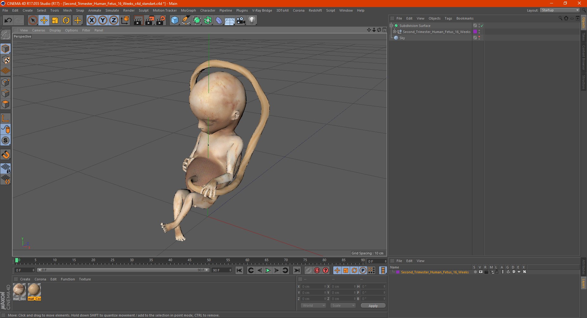 3D second trimester human fetus https://p.turbosquid.com/ts-thumb/AH/IMGkdr/LXUYLqD4/secondtrimesterhumanfetus16weeksvray3dmodel020/jpg/1606913537/1920x1080/fit_q87/5e73203c769661104dd3a1b763c0dba91aa41e09/secondtrimesterhumanfetus16weeksvray3dmodel020.jpg