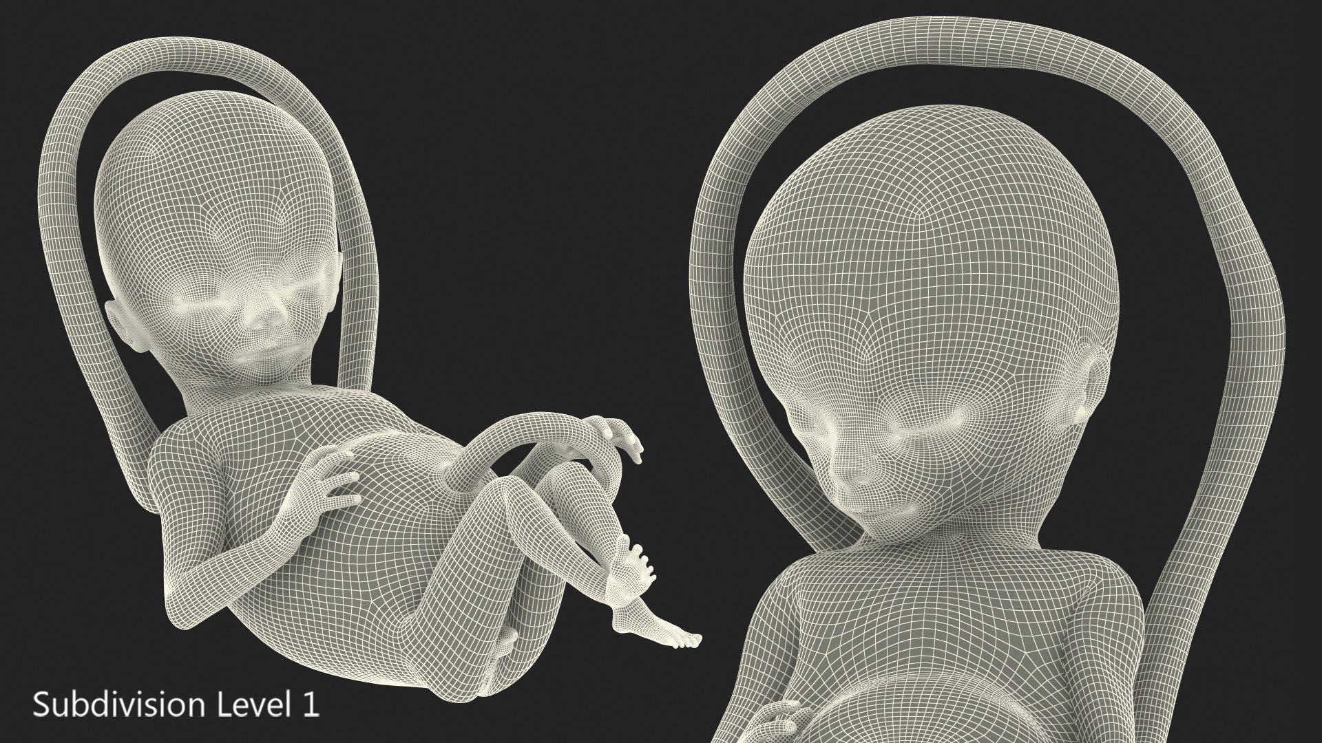 3D second trimester human fetus https://p.turbosquid.com/ts-thumb/AH/IMGkdr/OulHxE7G/secondtrimesterhumanfetus16weeksvray3dmodel015/jpg/1606913472/1920x1080/fit_q87/7ecefbf8aea1bf01c120f1eb669dfbc7565df4dc/secondtrimesterhumanfetus16weeksvray3dmodel015.jpg