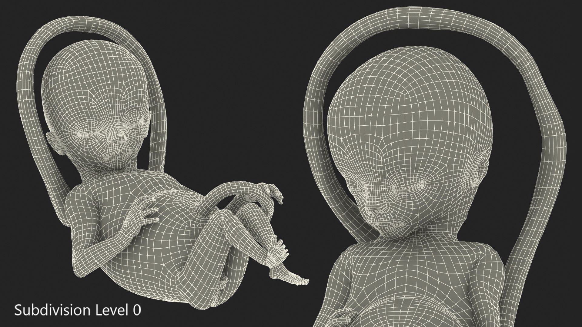 3D second trimester human fetus https://p.turbosquid.com/ts-thumb/AH/IMGkdr/RLSx1pZy/secondtrimesterhumanfetus16weeksvray3dmodel014/jpg/1606913455/1920x1080/fit_q87/a2347ffe02fdd4770cc109990c6fc245f91619f5/secondtrimesterhumanfetus16weeksvray3dmodel014.jpg