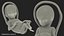 Second Trimester Human Fetus 16 Weeks