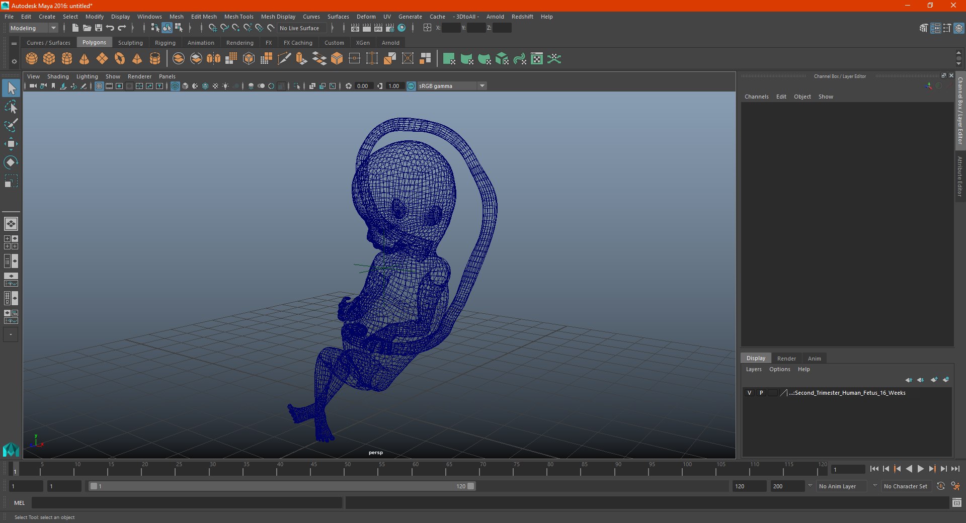3D second trimester human fetus https://p.turbosquid.com/ts-thumb/AH/IMGkdr/jvGs3Z13/secondtrimesterhumanfetus16weeksvray3dmodel021/jpg/1606913549/1920x1080/fit_q87/a05153cd2b1a34228ffa1874e73beae8391eba1b/secondtrimesterhumanfetus16weeksvray3dmodel021.jpg