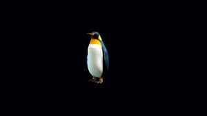 Penguin Rigged Character