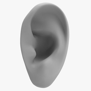 human ear 3D model