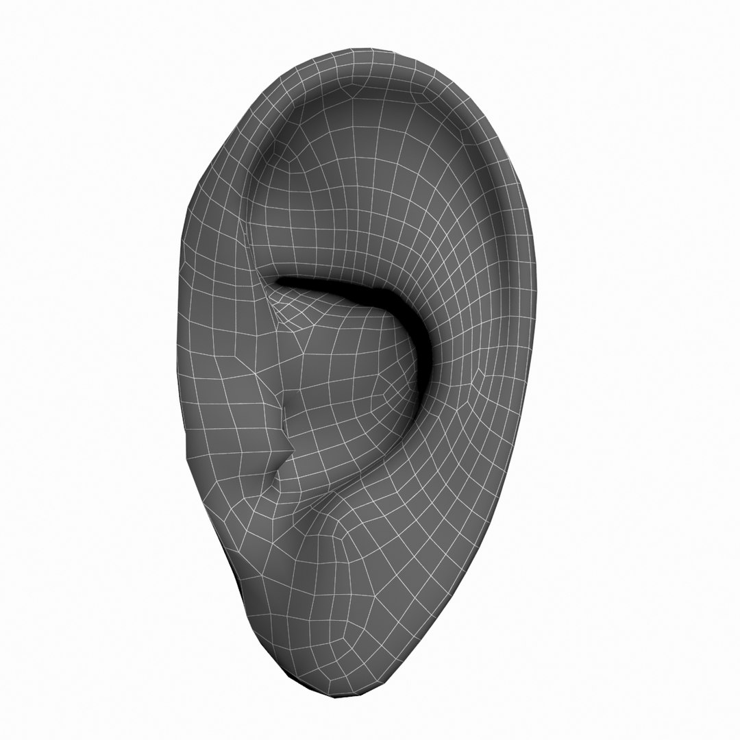 Human Ear 3D Model - TurboSquid 1203538