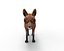 Preparado para el juego Fox low poly