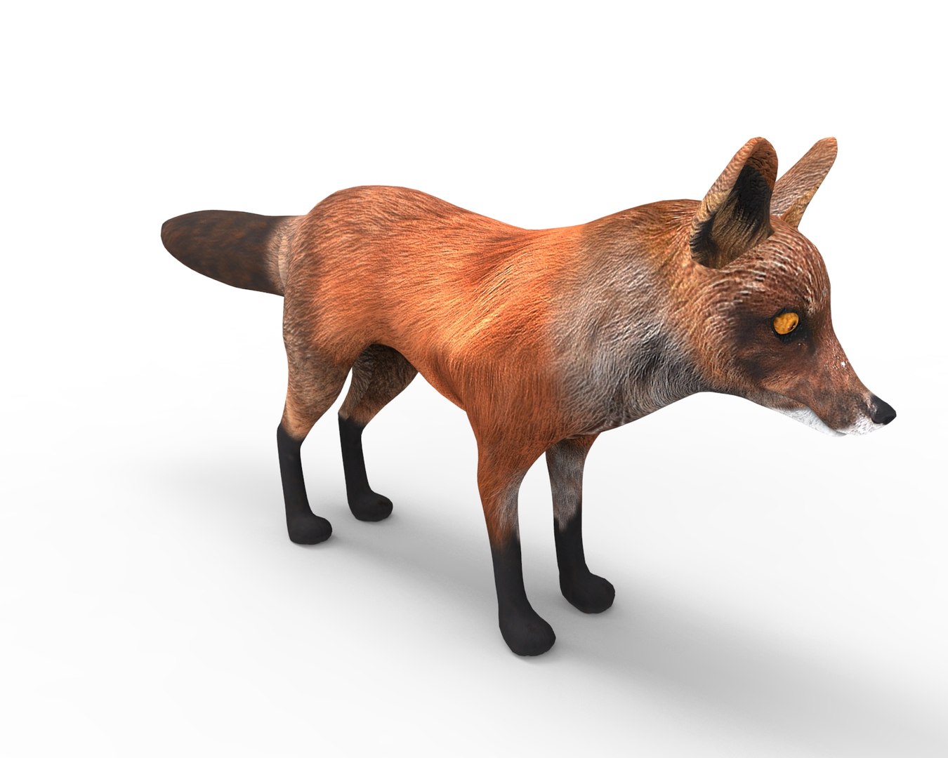 fox ready model https://p.turbosquid.com/ts-thumb/AH/MMvJZD/PXKslvtE/untitled.116/jpg/1506319808/1920x1080/fit_q87/d524ffc9fc85d51da021c0c77cf1d9d1dda0445b/untitled.116.jpg