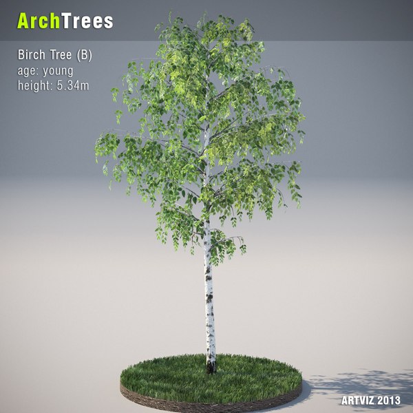 archtrees trees 3d model