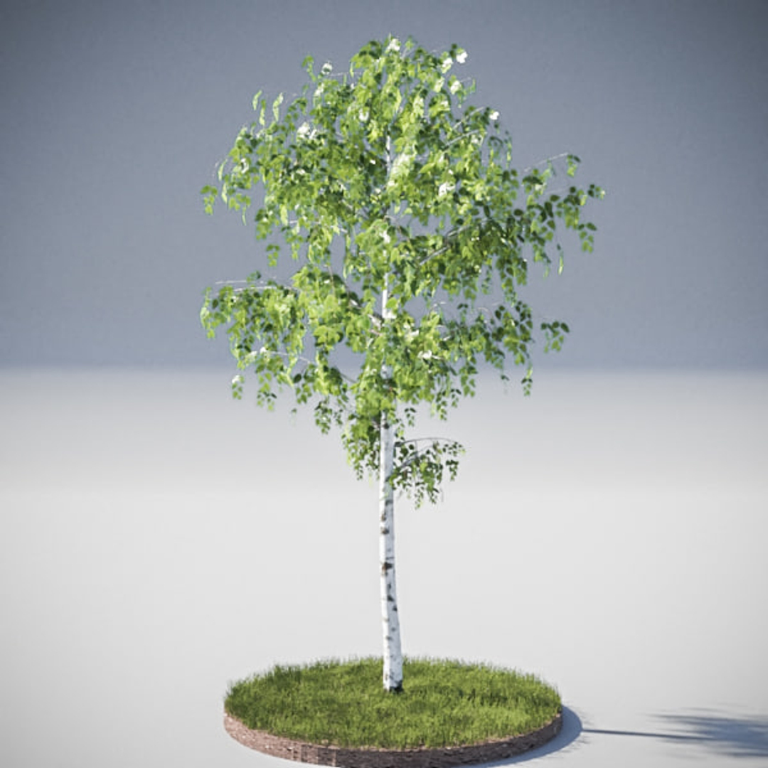 Archtrees Trees 3d Model