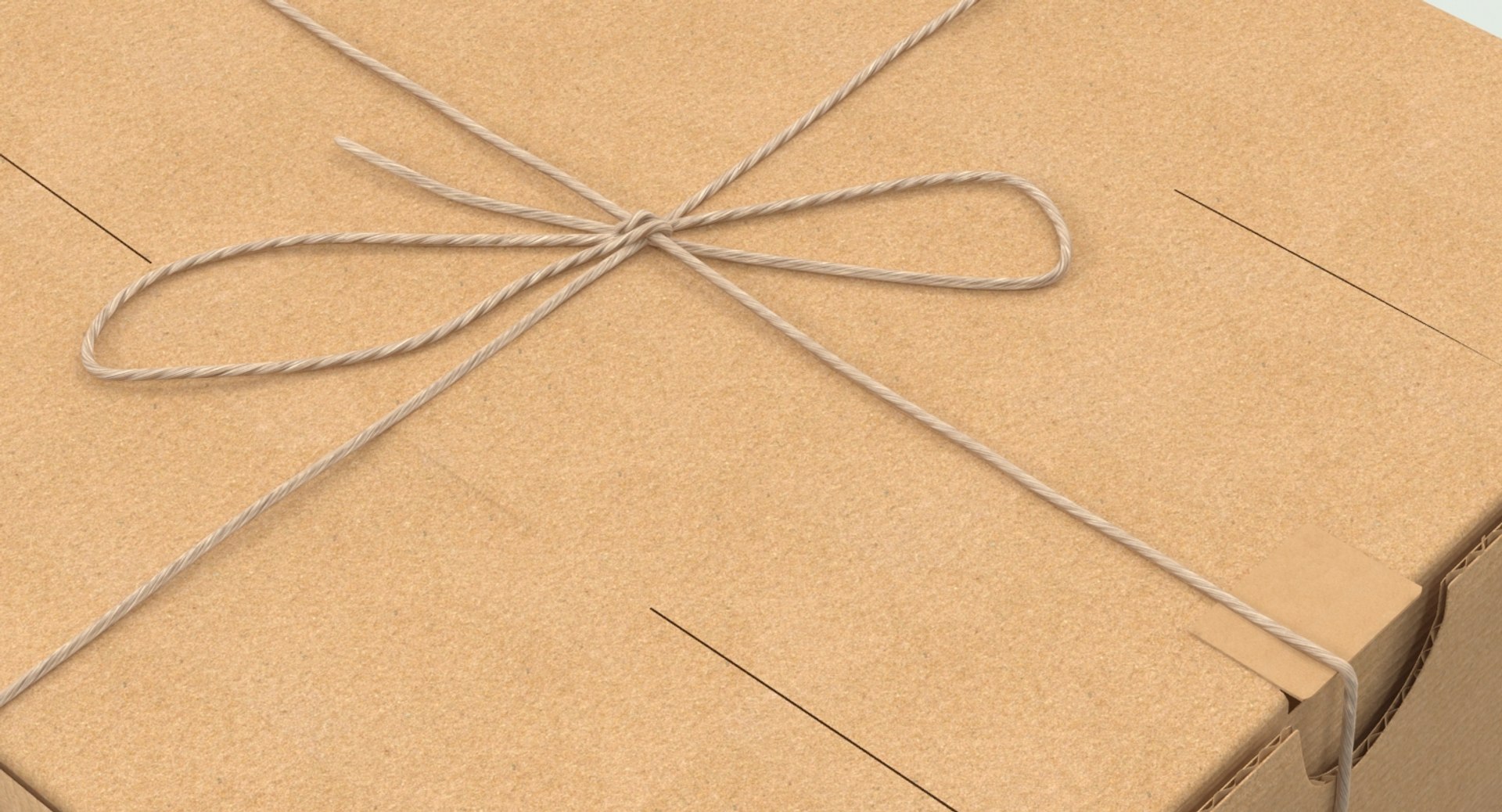 3d cardboard box twine model https://p.turbosquid.com/ts-thumb/AH/TLQIfF/n4mWls74/card_box_m_productshot_0006/jpg/1466609343/1920x1080/fit_q87/17175ab42e70d4a47e148b4d30473e7183ceec6e/card_box_m_productshot_0006.jpg