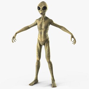 3D model Humanoid Alien Creature Rigged for Cinema 4D