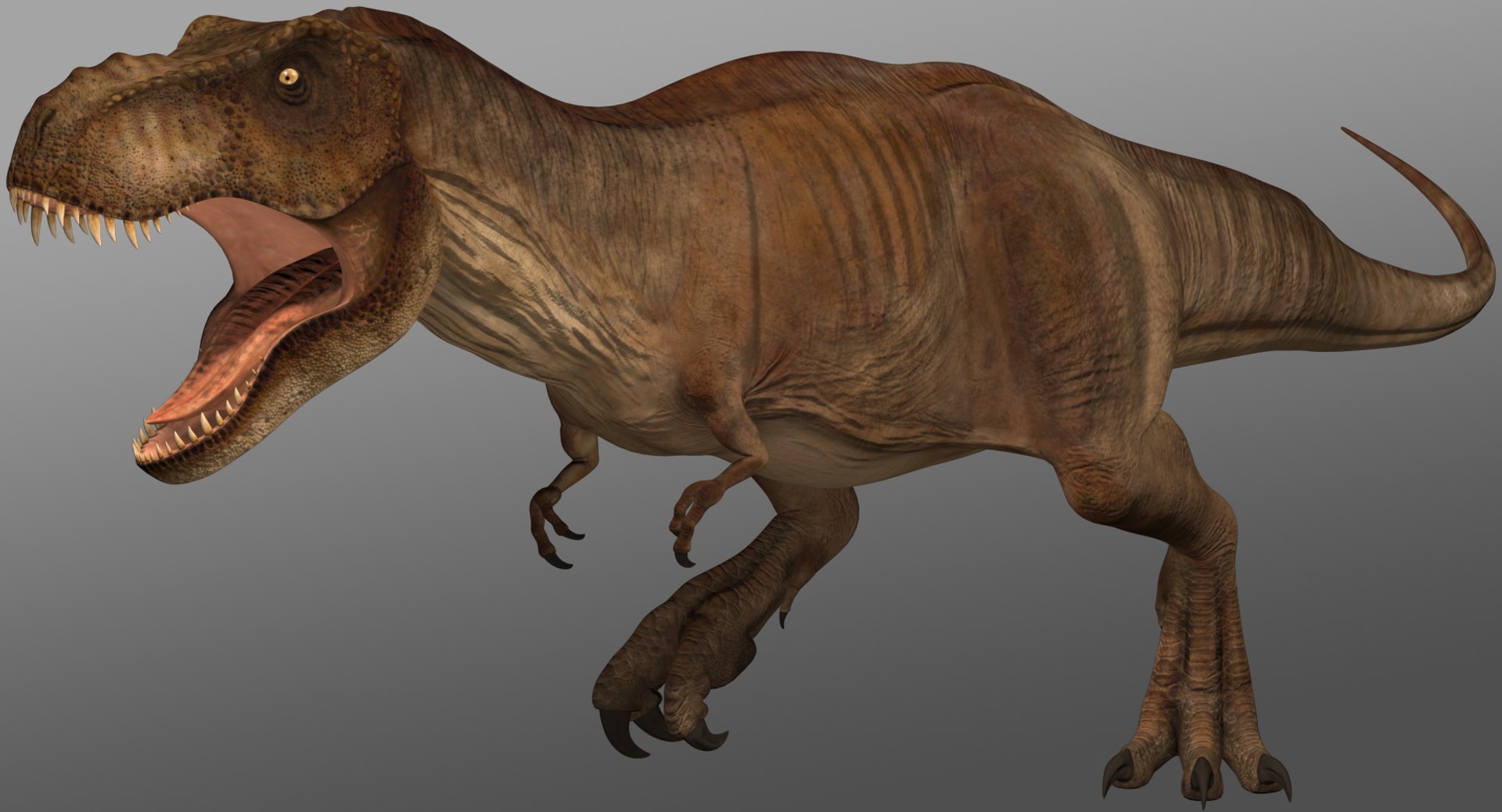 Tyrannosaurus rex running animal 3D model - TurboSquid 1566262