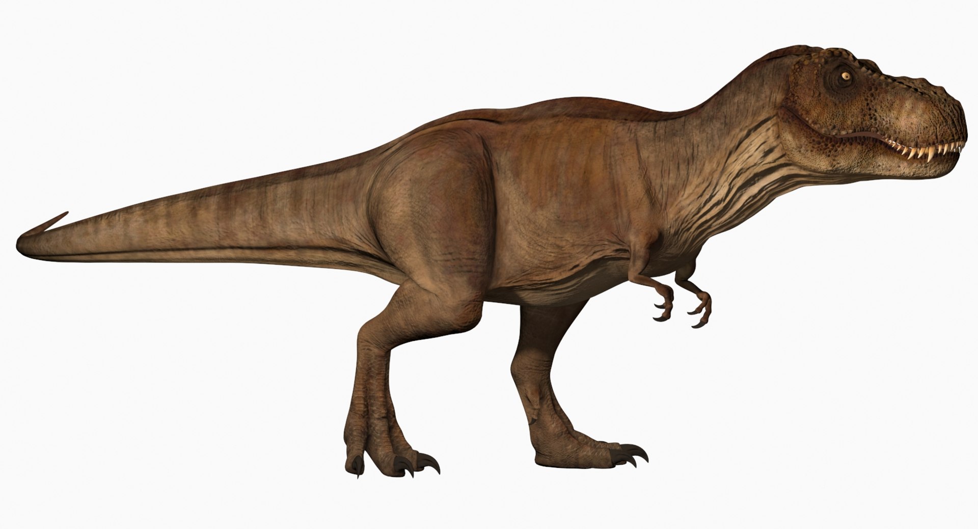 Tyrannosaurus rex running animal 3D model - TurboSquid 1566262