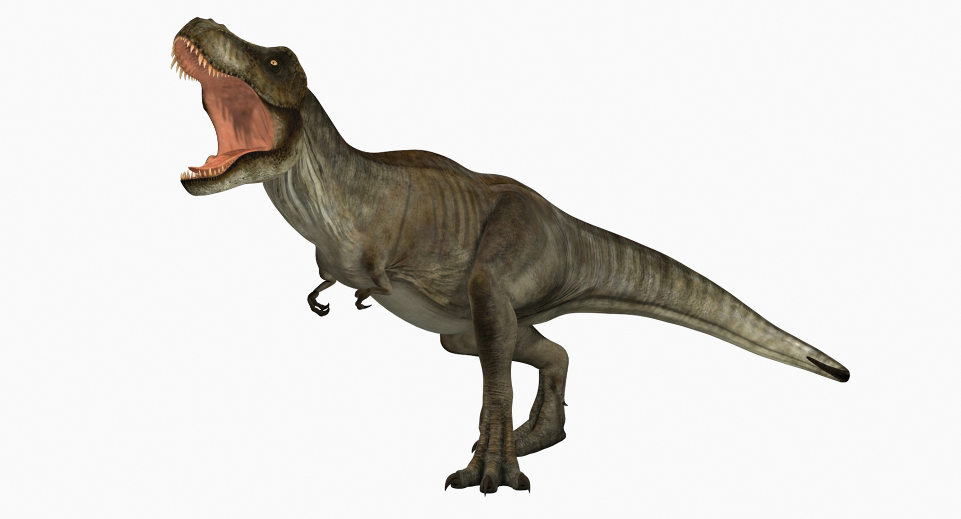 Tyrannosaurus rex running animal 3D model - TurboSquid 1566262