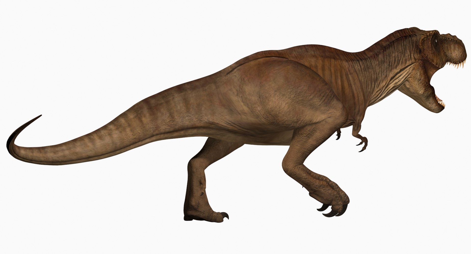 Tyrannosaurus rex running animal 3D model - TurboSquid 1566262