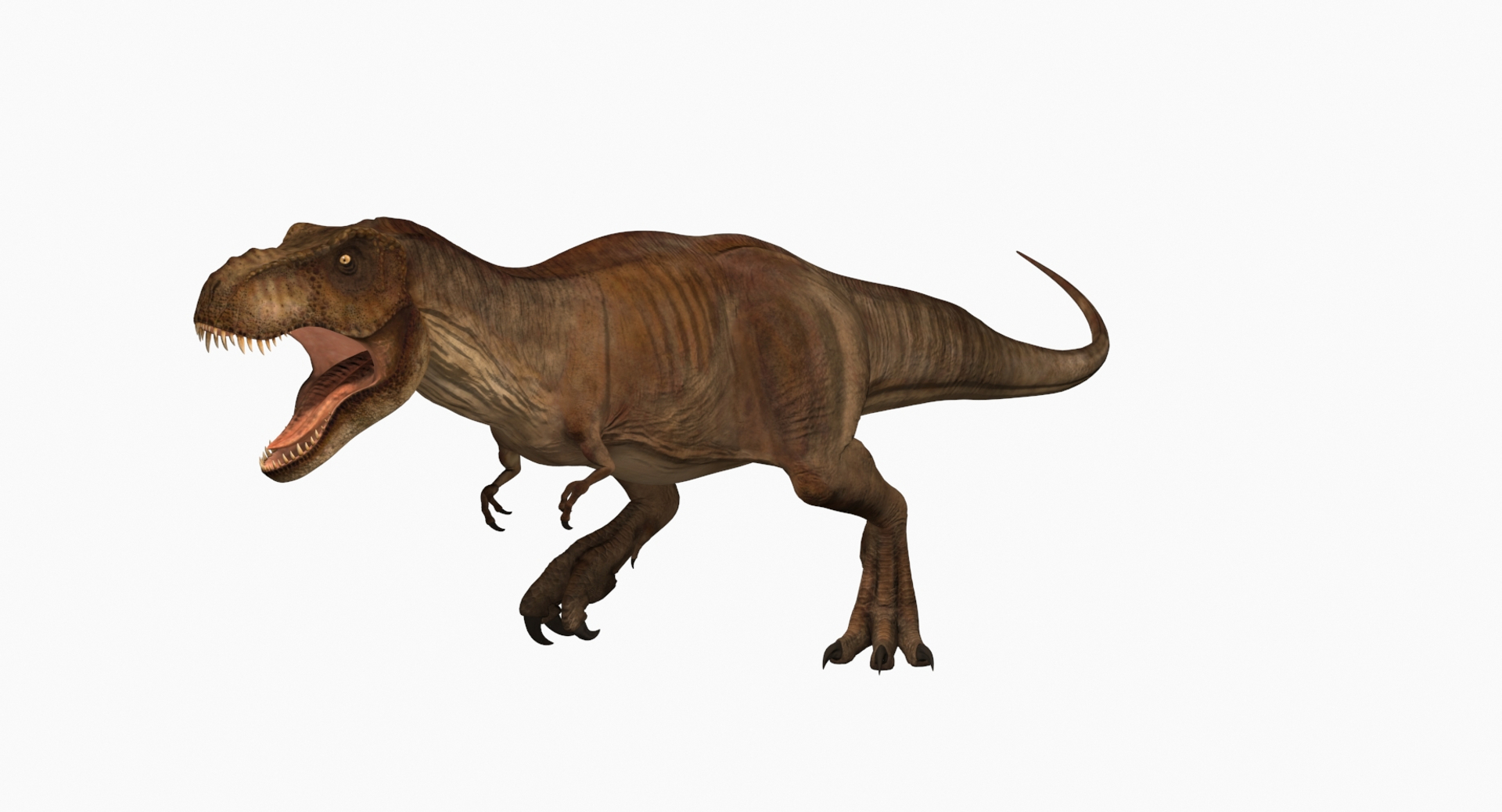 Tyrannosaurus rex running animal 3D model - TurboSquid 1566262