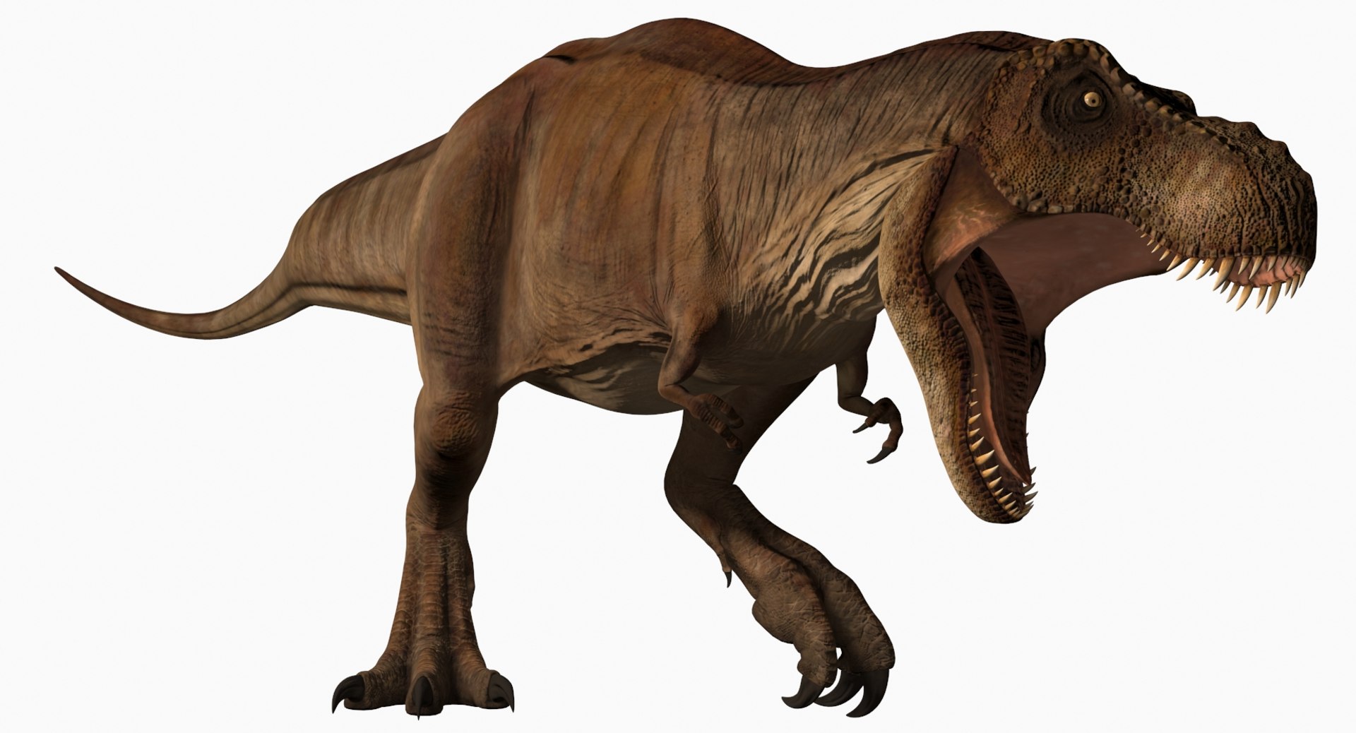 3D tyrannosaurus rex running dinosaur animal model - TurboSquid 1566261