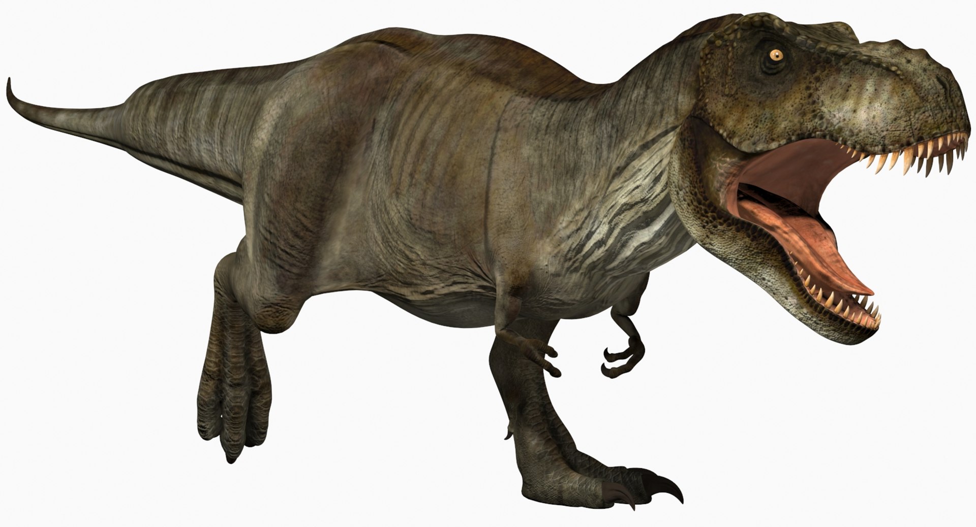 Tyrannosaurus rex running animal 3D model - TurboSquid 1566262