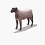 Arabi Sheep