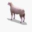 Arabi Sheep