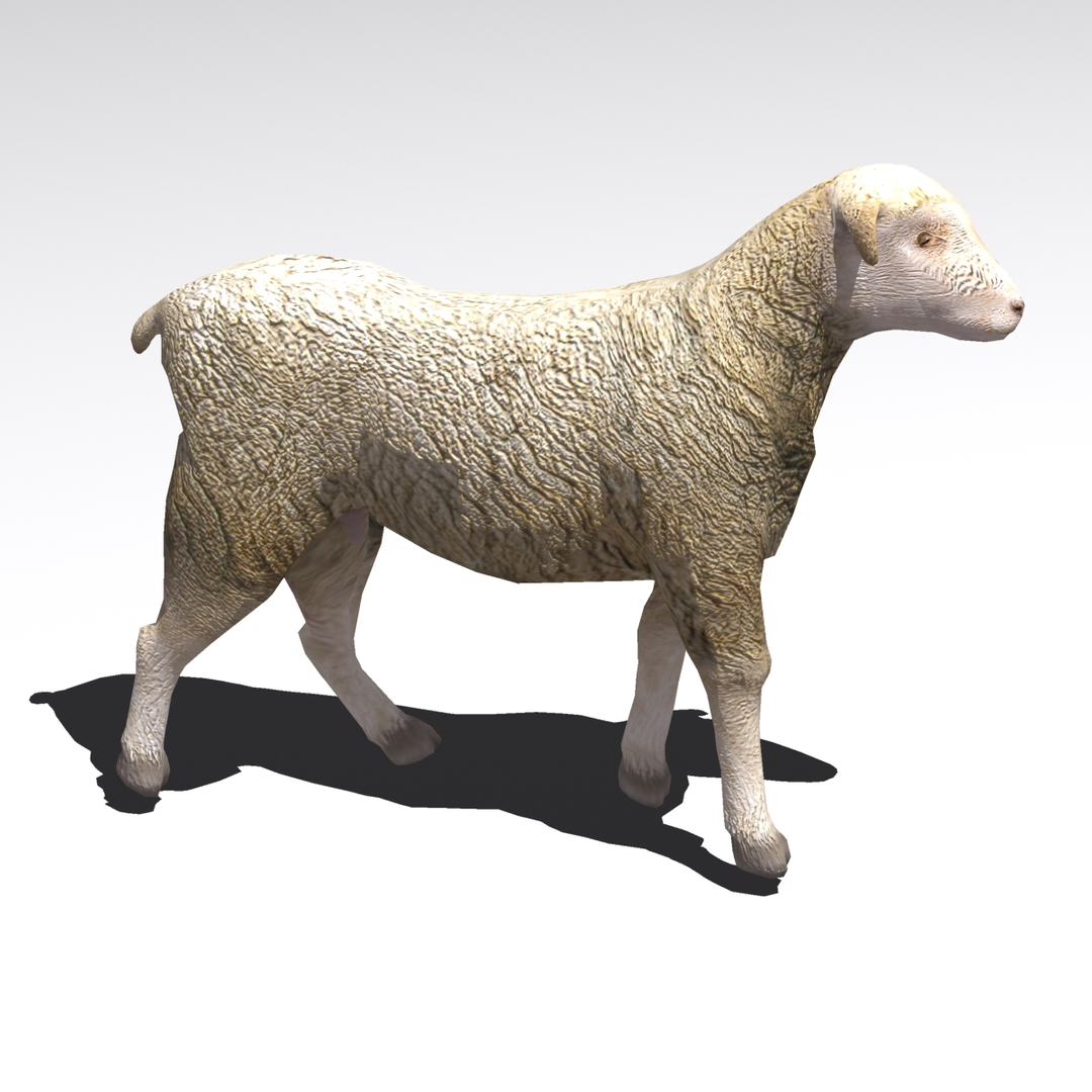 arabi sheep 3ds https://p.turbosquid.com/ts-thumb/AH/a3uiry/QjDEBu7R/arabi_walkcycle/jpg/1307385307/1920x1080/turn_fit_q99/f1118a0f5c67633331edea12ab2f02f0f9de186d/arabi_walkcycle-1.jpg