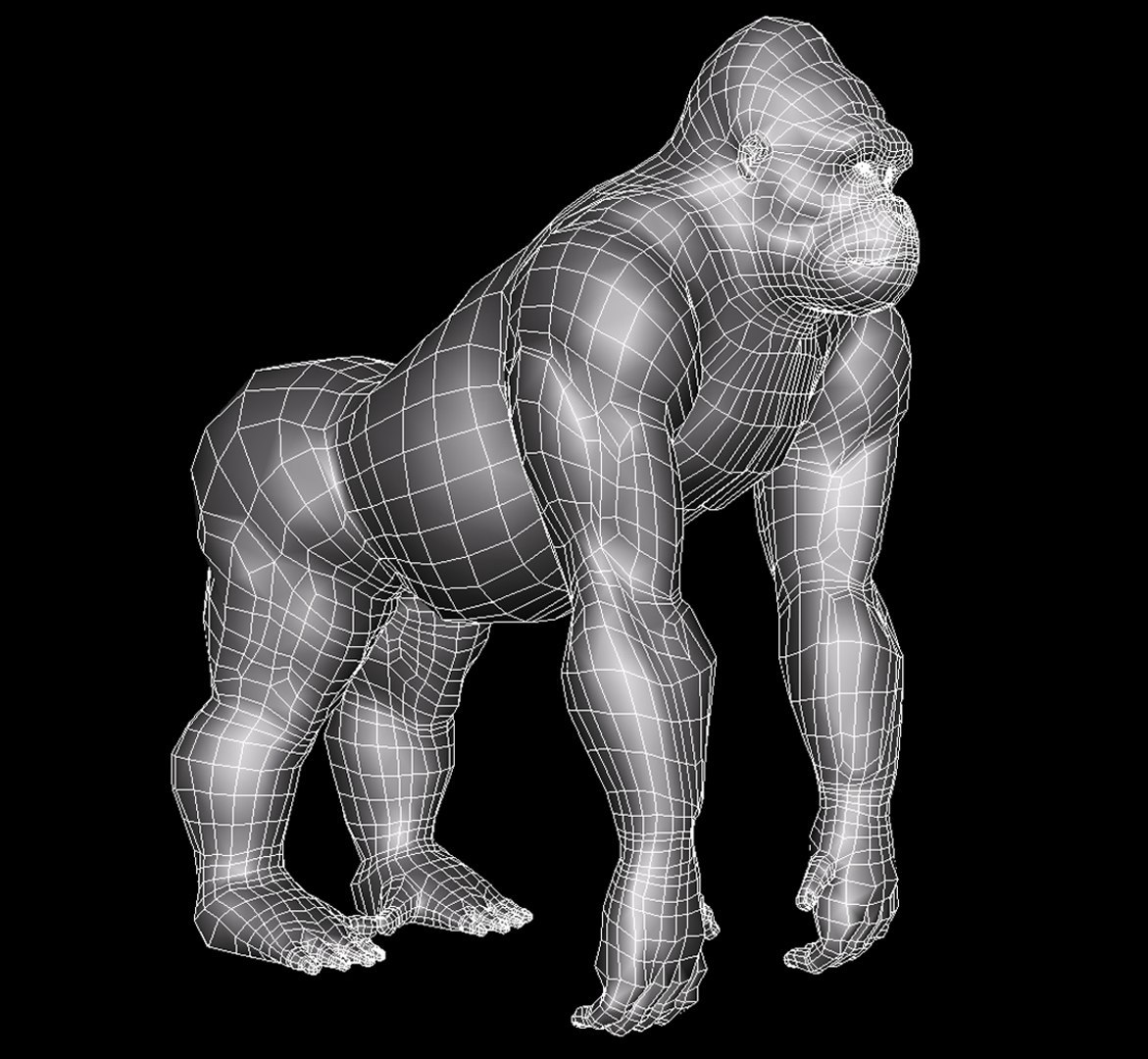 Gorilla Primate 3d Obj
