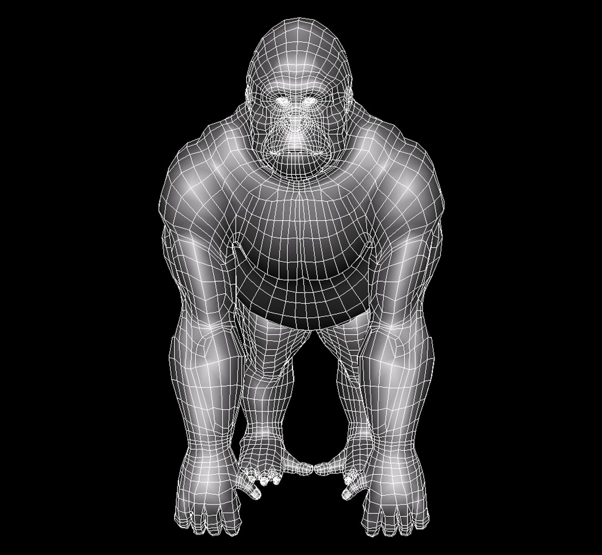 Gorilla Primate 3d Obj