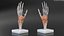 Human Hand Skeleton with Carpal Tunnel Membrane Rigged 3D model