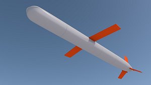 Tomahawk Cruise Missile