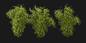 3D model Collection plant vol 358 - blender model