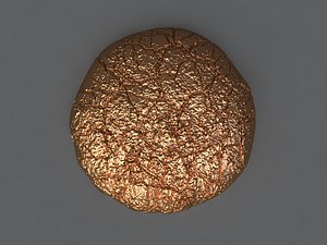 Cookie