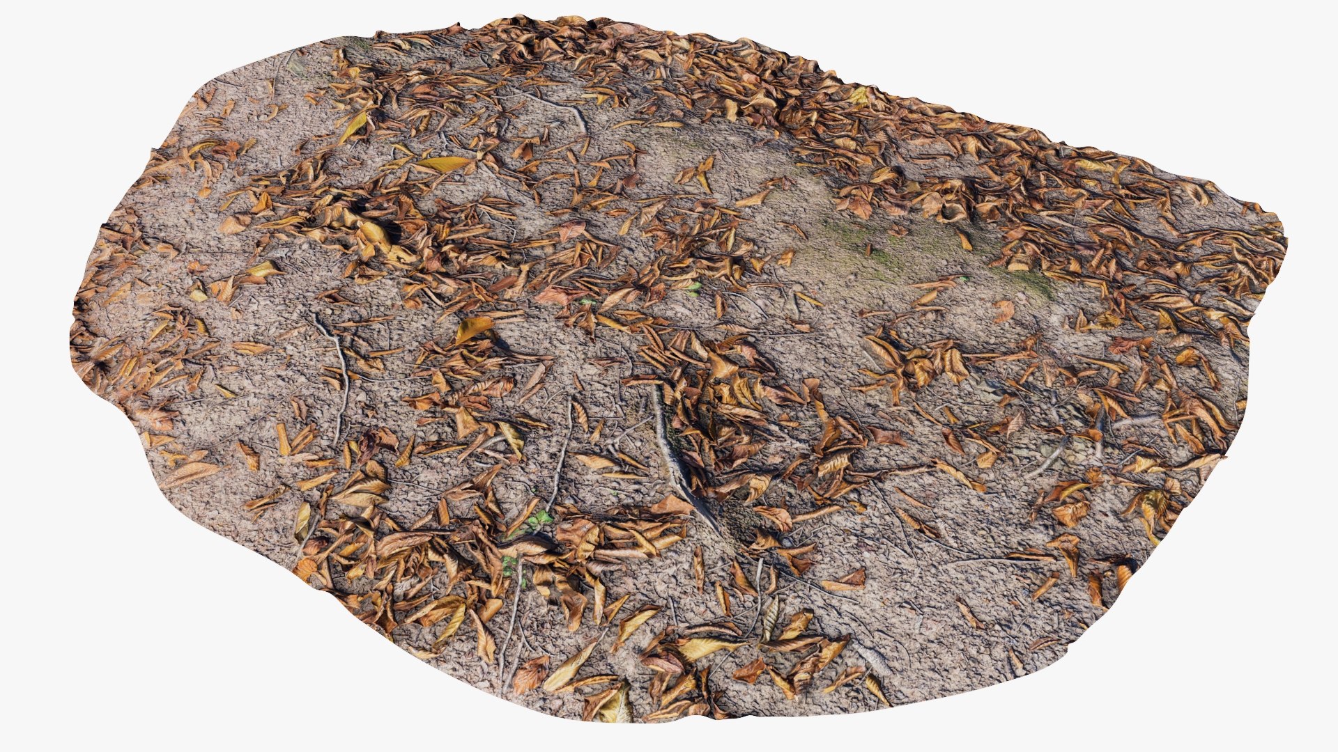 Forest Ground 03 3D https://p.turbosquid.com/ts-thumb/AH/zXfk4S/tJ/forest_ground_03_p05/jpg/1762349938/1920x1080/fit_q87/4b88147b75bd8d44e7695ee0a89159ca5588e233/forest_ground_03_p05.jpg