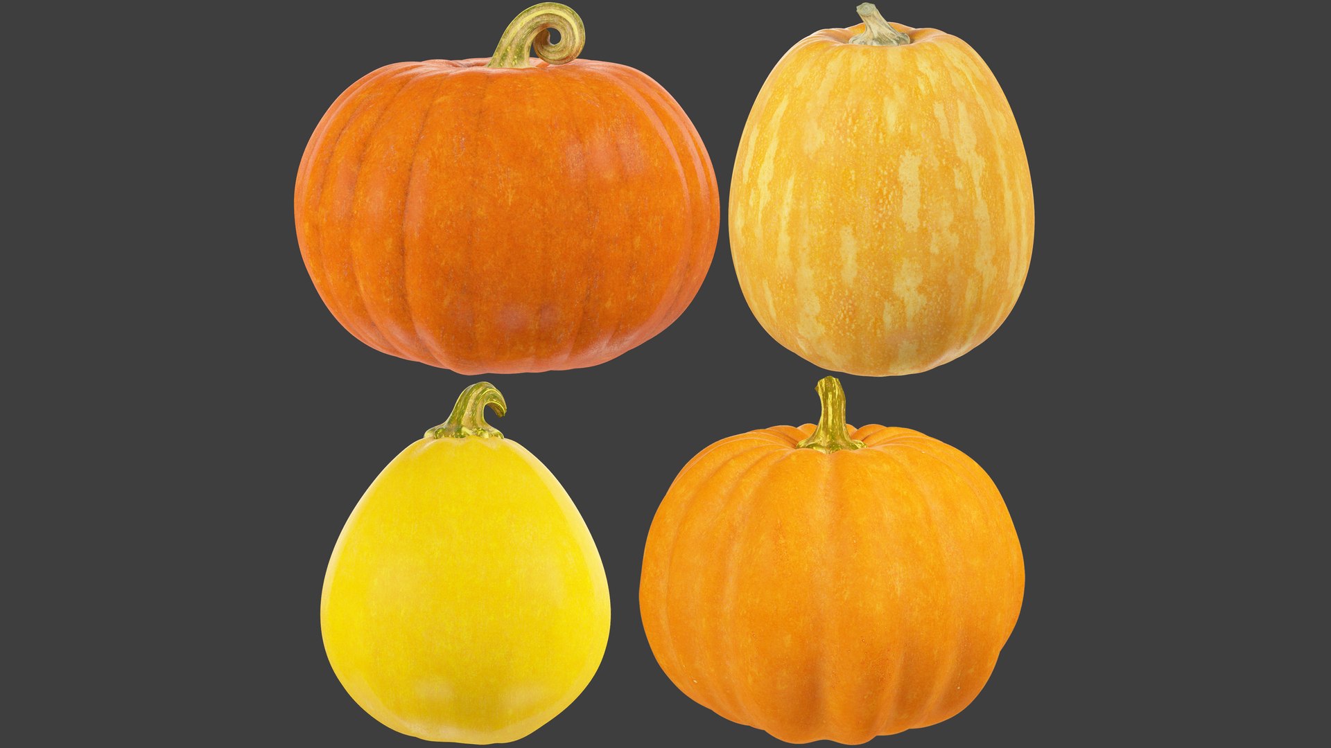 Pumpkins Collection V2 3D https://p.turbosquid.com/ts-thumb/AI/4WLeTQ/Oq/pc2_003/png/1629885881/1920x1080/fit_q87/2adb906f0e88ae8f49f99031c5d5941bd5466e9f/pc2_003.jpg