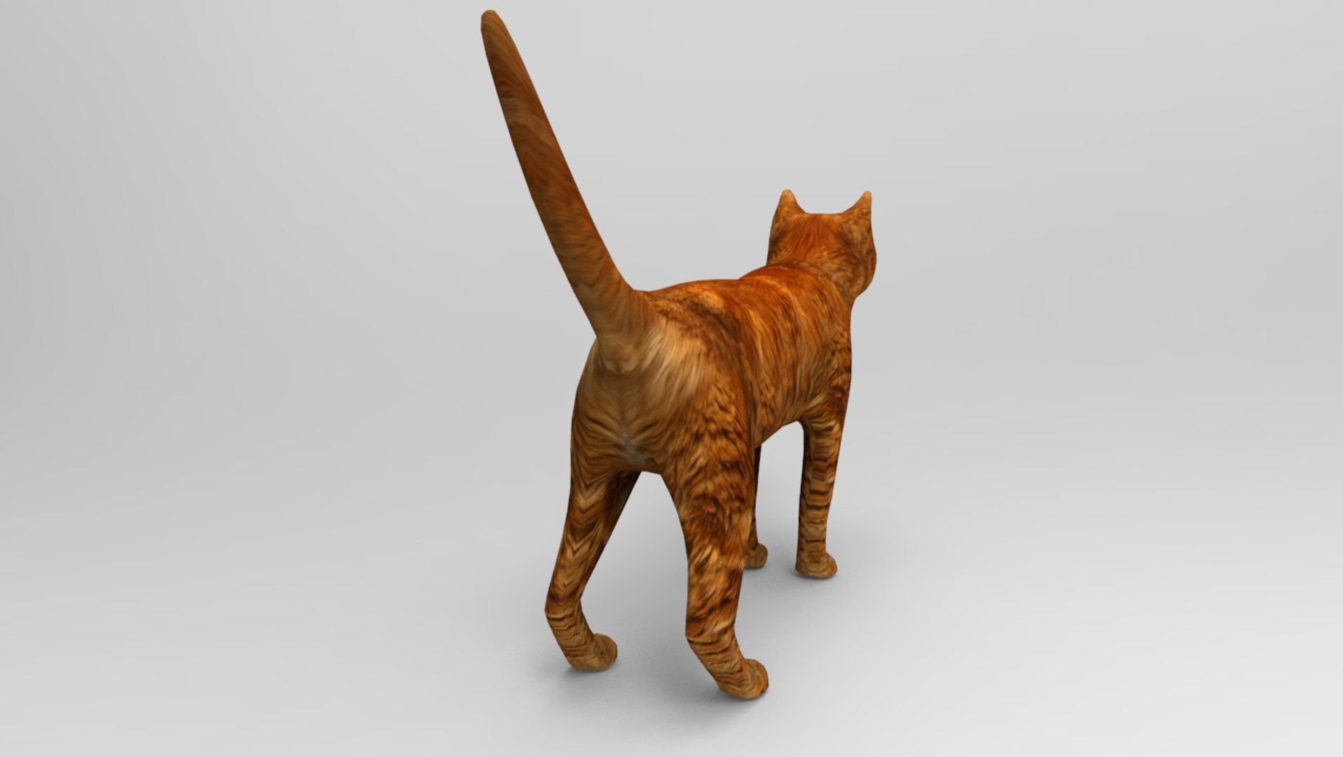 3D cat rigged | 1142703 | TurboSquid
