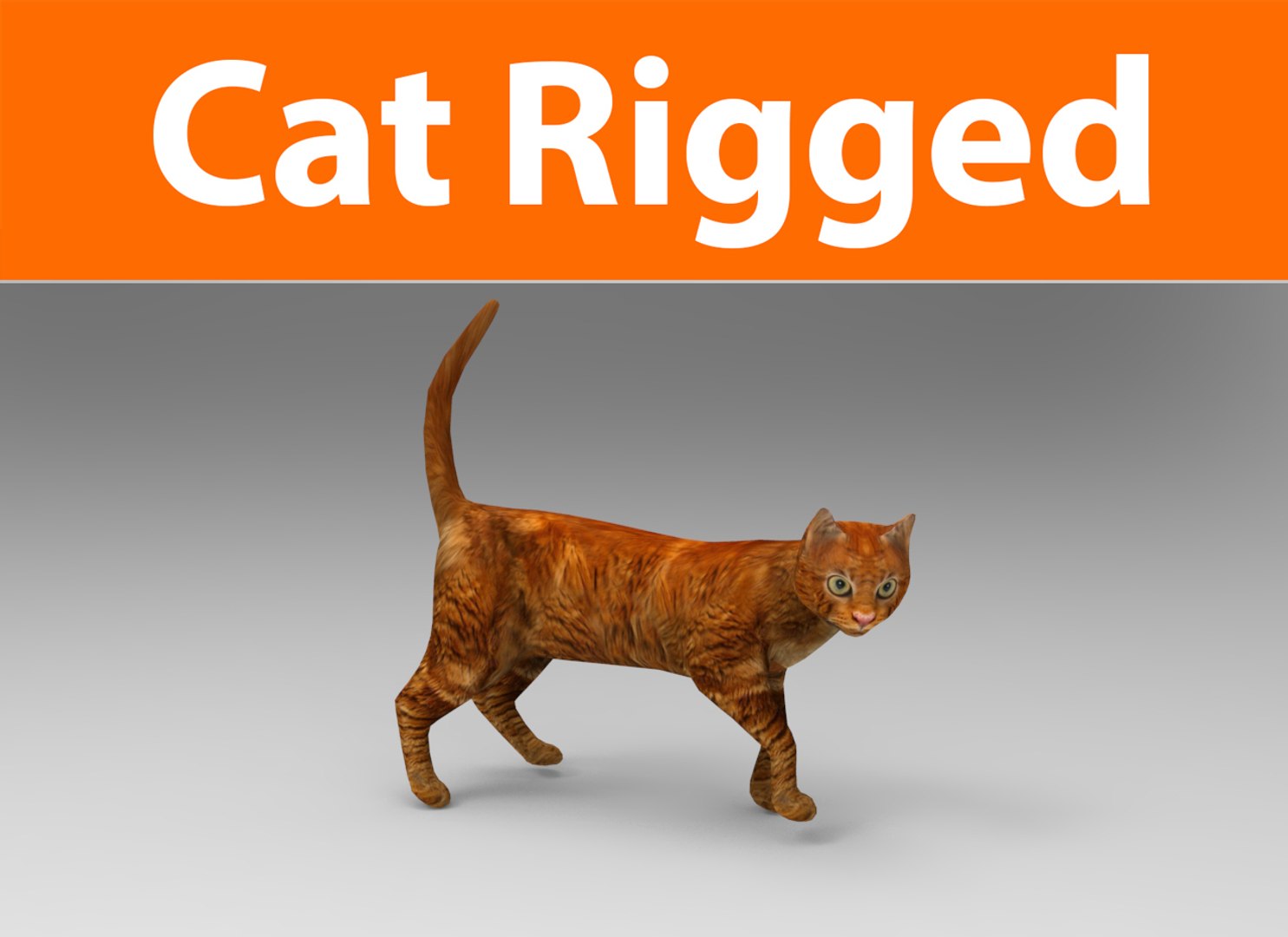 3D cat rigged | 1142703 | TurboSquid